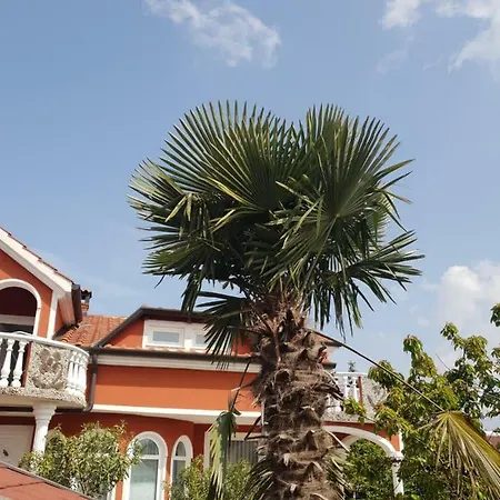 Apartma Jelka Novigrad  Exterior photo