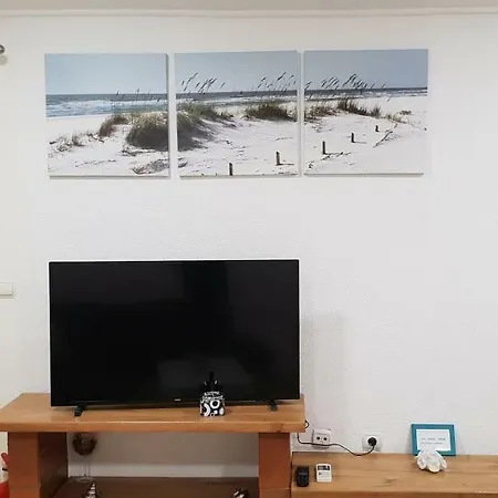 Apartma Jelka Novigrad  Exterior photo