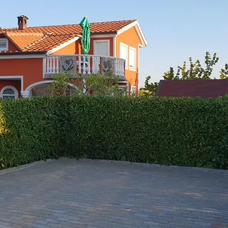 Apartma Jelka Novigrad  Exterior photo