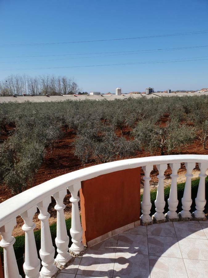 Apartment Apartma Jelka