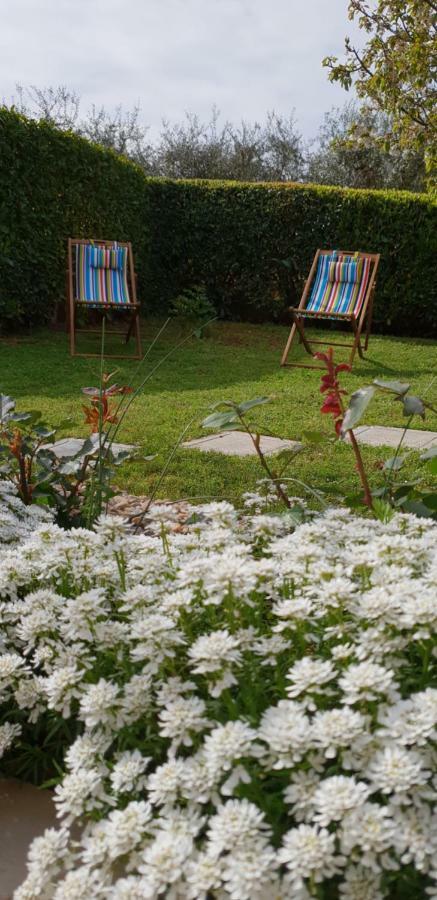 Apartma Jelka * Novigrad (Istria)